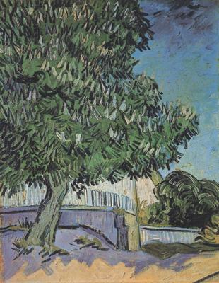 Vincent Van Gogh Chestnut Tree in Blossom (nn04)